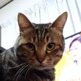 なお
