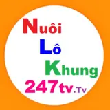 Nuôi lô khung 247 Tv