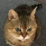 ちか