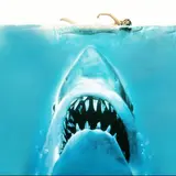 Jaws’ kabu