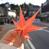 てしちゃん