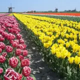 Holiday_オランダ