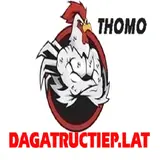 dagatructieplat