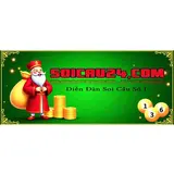 Soi Cầu 24h