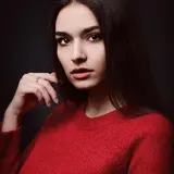 sonammittalmodel