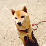 高尾明香里