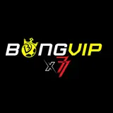 dangkybongvip77