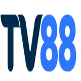 tv88global