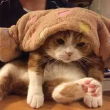 ゆっと
