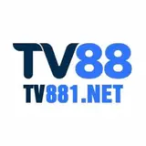 tv881net