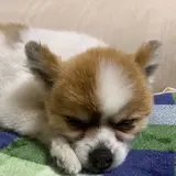 aym