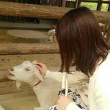 そふぃ