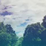 葛葉