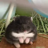 うにお
