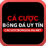 cacuocbongdahunet