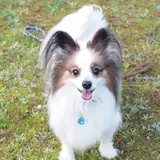 ジュン@招福祈願