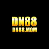 DN88
