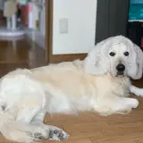 じゆんきち