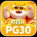 pg30tech