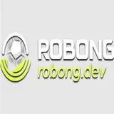robongdev
