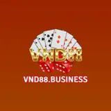 VND88