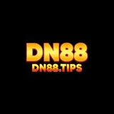 dn88tips