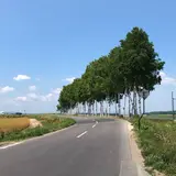 あきなん
