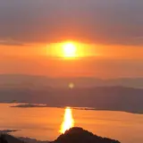さくら