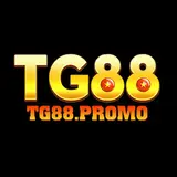 tg88promo