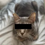むのひと