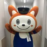 設楽