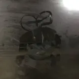 といこ