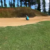 mine