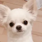 ma....mi