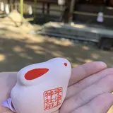 海月