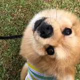 ちか王