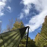 ハル