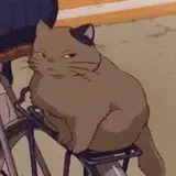 sachpon