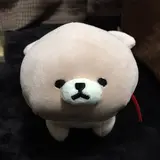 いぬ