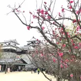 あかね