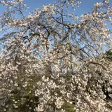 滋賀県大好き