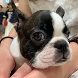 もり