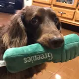 伊藤 啓