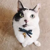 ななーる
