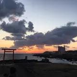 tomoto