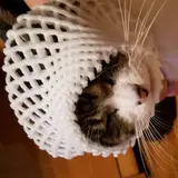 あーずま