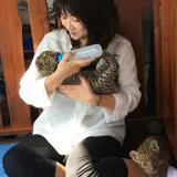 Kiyomi.M