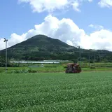 NPO法人頴娃おこそ会