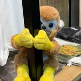 ふじた