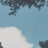 ユミ